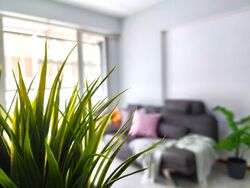 D'Lotus (D12), Apartment #566525621